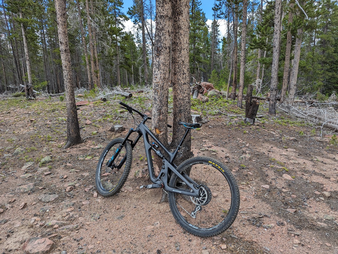 MTB picture